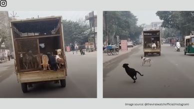 A man on a two-wheeler approaches the vehicle, reaches for the latch, and unlocks it