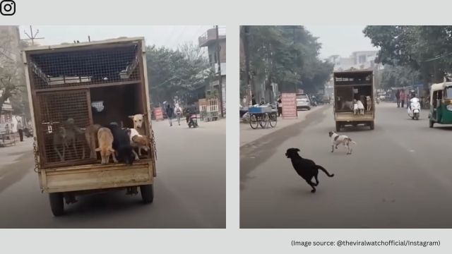 A antheral   connected  a two-wheeler approaches the vehicle, reaches for the latch, and unlocks it