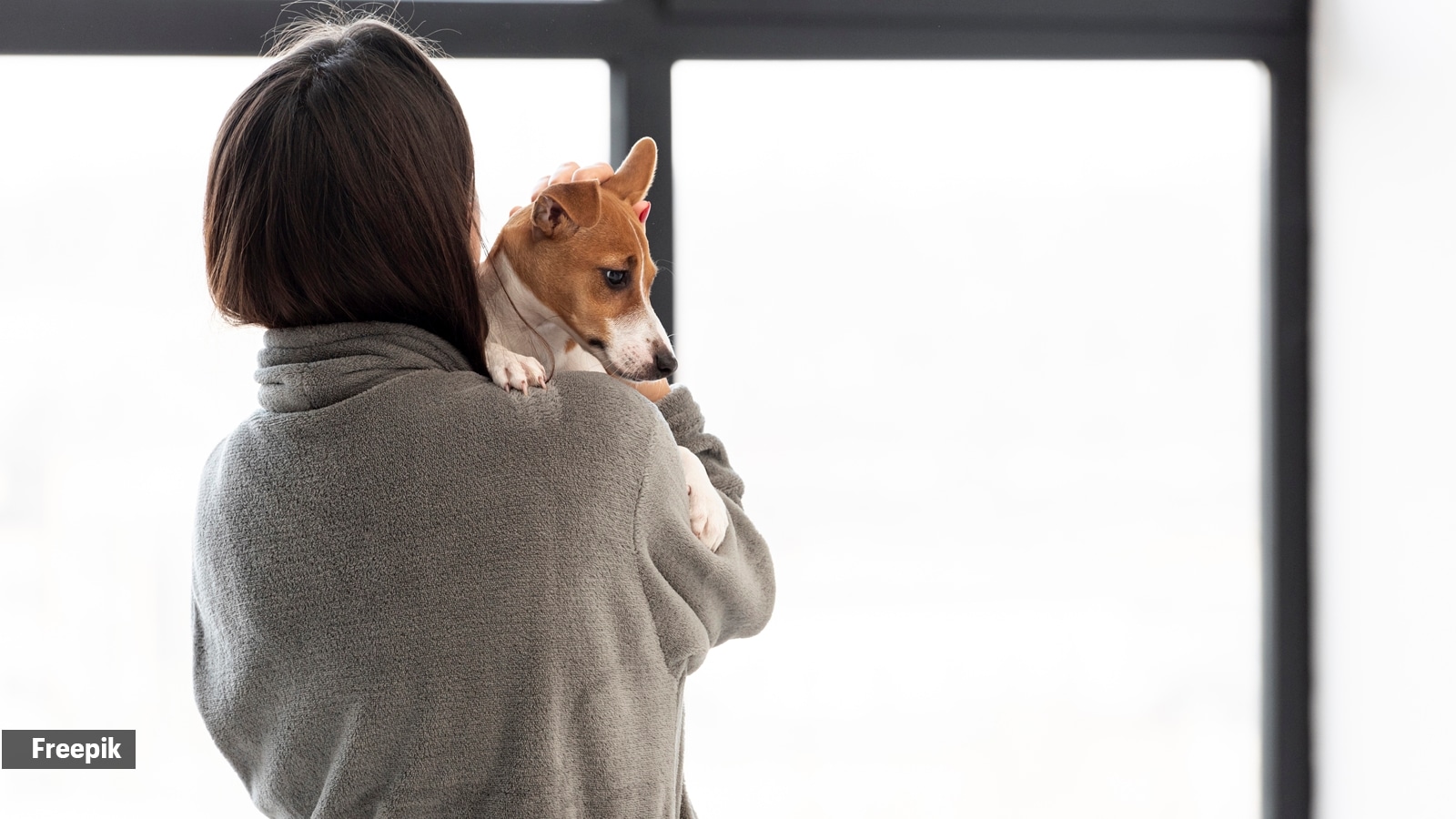 Your stress levels affect your dog