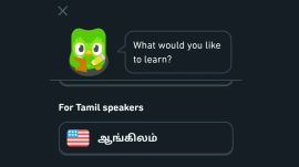The Learn English from Tamil course offers an engaging and culturally resonant learning experience. (Image: Duolingo)