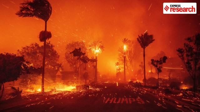 Over the past few weeks, wildfires have erupted across Los Angeles