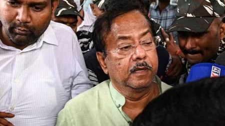 After his arrest, in February 2024, Jyotipriya Mallick was removed as the forest minister and the portfolio was reallocated to Birbaha Hansda. (File)