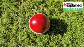 Red Kookaburra ball used in cricket.