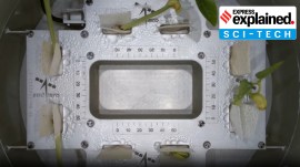 How and why are plants grown in space: Takeaways from ISRO’s success