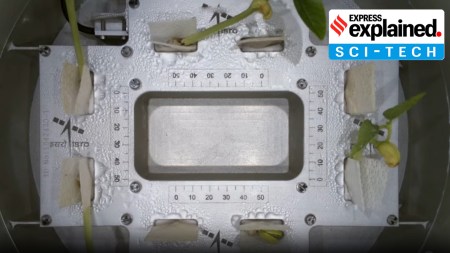 How and why are plants grown in space: Takeaways from ISRO’s success