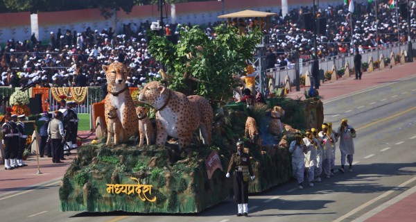 Madhya Pradesh tableau, showing cheetahs. 