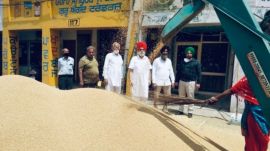 Punjab government Aadhaar seeding farmers, Anaaj Kharid portal hack fraud, Punjab cyber fraud MSP payments