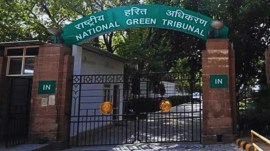NGT Delhi pollution board