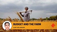 How uniform taxation can turn the agricultural sector around
