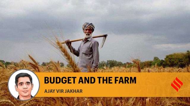 How uniform taxation can turn the agricultural sector around