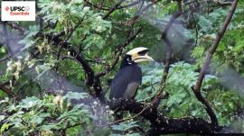 UPSC Essentials | Daily subject-wise quiz : Environment and Geography (Week 94)