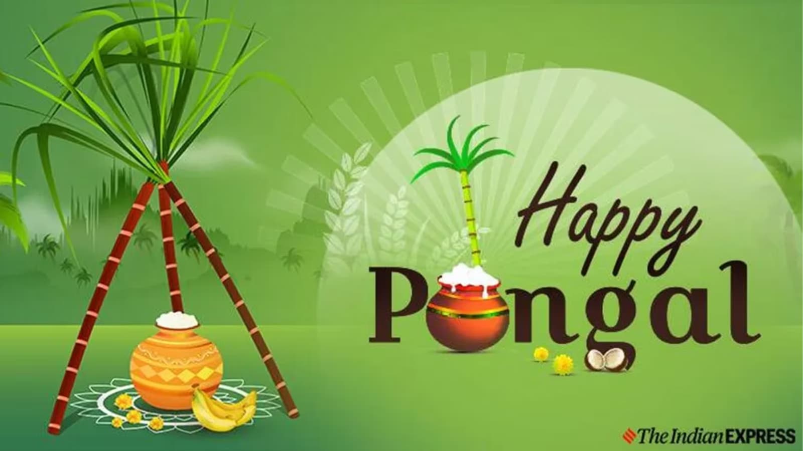 Pongal 2025 Dates, Good Time, History, Rituals and Significance of