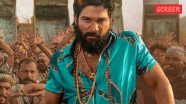 Pushpa 2- box office collection day 29- Allu Arjun