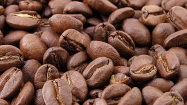 indian coffee beans, indian express