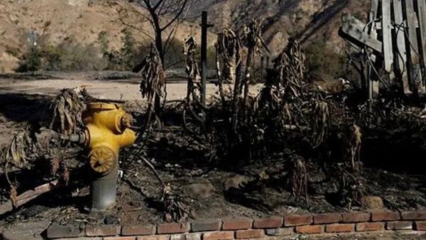 UPSC Issue at a Glance | California Wildfires: 4 Key Questions You Must Know for Prelims and Mains