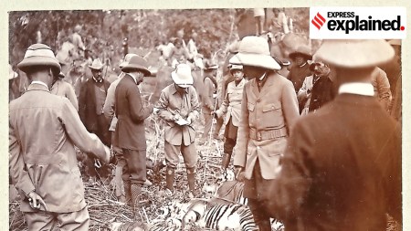 Tigers, Tigers as gifts, World Wildlife Fund, KP Sharma Oli, Nepal tigers, shikar diplomacy, Indian express explained, explained news, current affairs