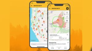 The app is free to download on both Android and iOS devices.