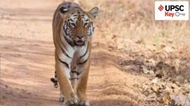 upsc civil services exam, Indian express for upsc, sarkari naukri, government jobs, ias, pcs, ifs, foreign relations, UPSC, upsc 2025, upsc mains 2025, upsc 2025 prelims, UPSC key, Upsc Prelims results, UPSC key terms, upsc news, upsc syllabus, UPSC KEY, Upsc Key terms, IAS current affairs, upsc Key Indian express, The Indian Express current Affairs, Is Indian Express Good for UPSC, upsc today news, upsc newspaper, Indian express today important news for upsc, Indian express monthly current affairs, What should I read in Indian Express for UPSC today, UPSC Answer Key, UPSC Online, IAS, IPS, upsc current affairs news, UPSC KEY News, UPSC Civil services news, UPSC Prelims 2025, UPSC Mains 2025, UPSC Mains 2025, UPSC Mains 2025, UPSC Prelims 2025, UPSC General Studies 1, UPSC General Studies II, UPSC General Studies III, UPSC General Studies IV, upsc, upsc mains 2025, UPSC mains answer writing, upsc GS paper 1, upsc mains GS paper 1, upsc geography, upsc history, gs paper 1, upsc, upsc mains 2025, UPSC mains answer writing, upsc gs paper 4, upsc mains gs paper 4, upsc ethics, gs paper 4, sarkari naukri, government jobs, Current events of national and international importance, History of India and Indian National Movement, Indian Heritage and Culture, History and Geography of the World and Society, Governance, Constitution, Polity, Social Justice and International relations, Technology, Economic Development, Bio diversity, Environment, Security and Disaster Management Ethics, Integrity and Aptitude, Indian Express UPSC Key, Upsc Indian Express, sarkari naukri, upsc CSE, exam key, Governor’s Office, $5-trillion Economy, Tiger Migration