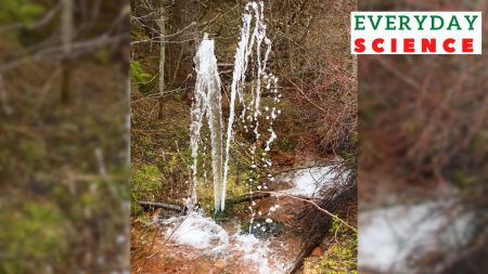 An artesian water source in Canada.