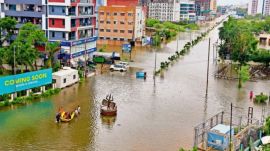 Vishwamitri is a known breeding site for the mugger crocodiles.