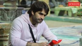 Vivian Dsena reacts to Kamya Panjabi and Salman Khan's criticism on Bigg Boss 18