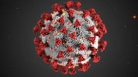 HMPV Virus: Do not panic, says TN government.