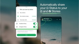 The new WhatsApp feature will be rolling out over the next few months.