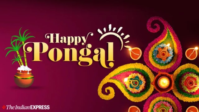 Pongal Kolam Rangoli Designs 2025: New, Easy, Simple And Latest Pongal 