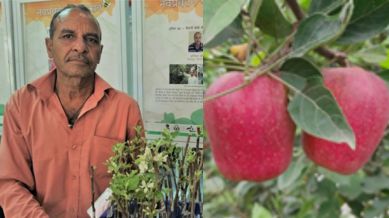 apple man of india, Hariman Sharma