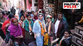 ariba khan, INC, Delhi Assembly Elections