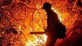 California, California wildfire, California fires, California disaster, California wildfire casualties, California wildfire victims, editorial, Indian express, opinion news, indian express editorial