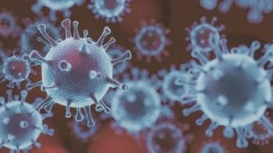 hmpv, china virus, Human Metapneumovirus,