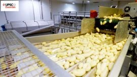 UPSC Essentials | Mains answer practice — GS 3 (Week 88)