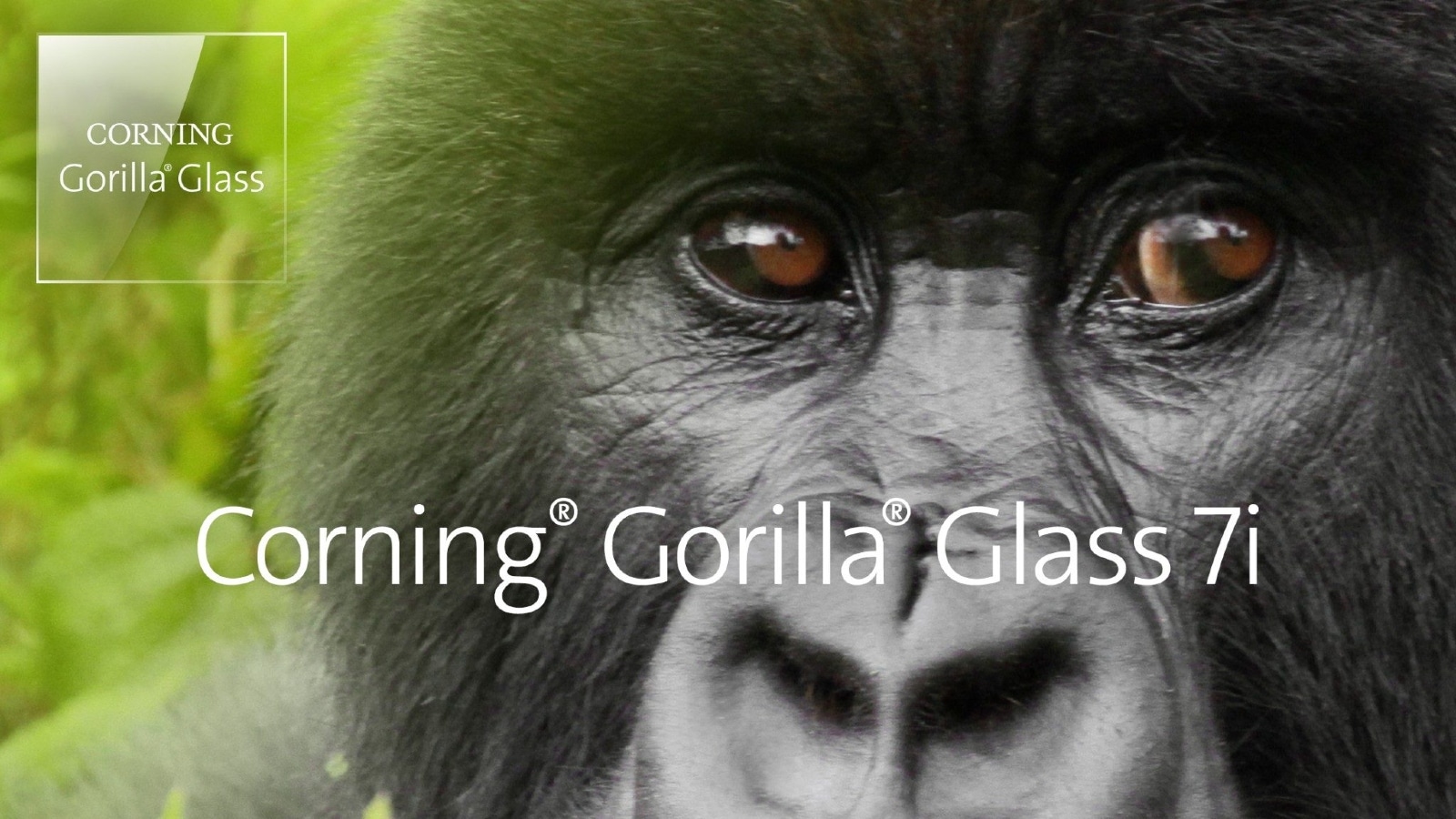 Gorilla Glass 7i