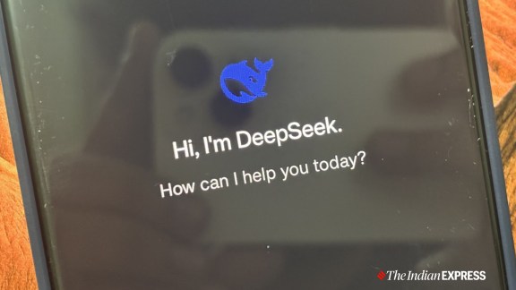 DeepSeek app