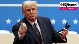 birthright citizenship, Donald Trump