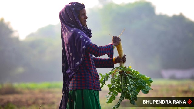 farmers consent agricultural reforms