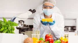 Navigating food choices in a world flooded with information requires discernment