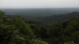 Centre asks states to create mechanism for compliance with Forest Rights Act