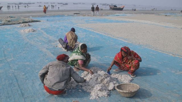 Gangasagar Mela