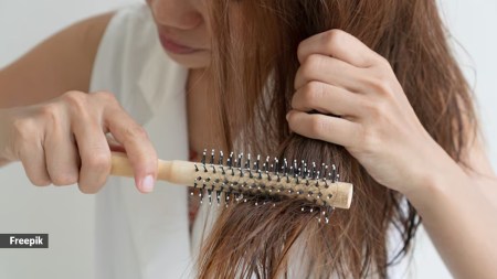 One primary factor contributing to increased hair shedding in winter is dryness in the air.