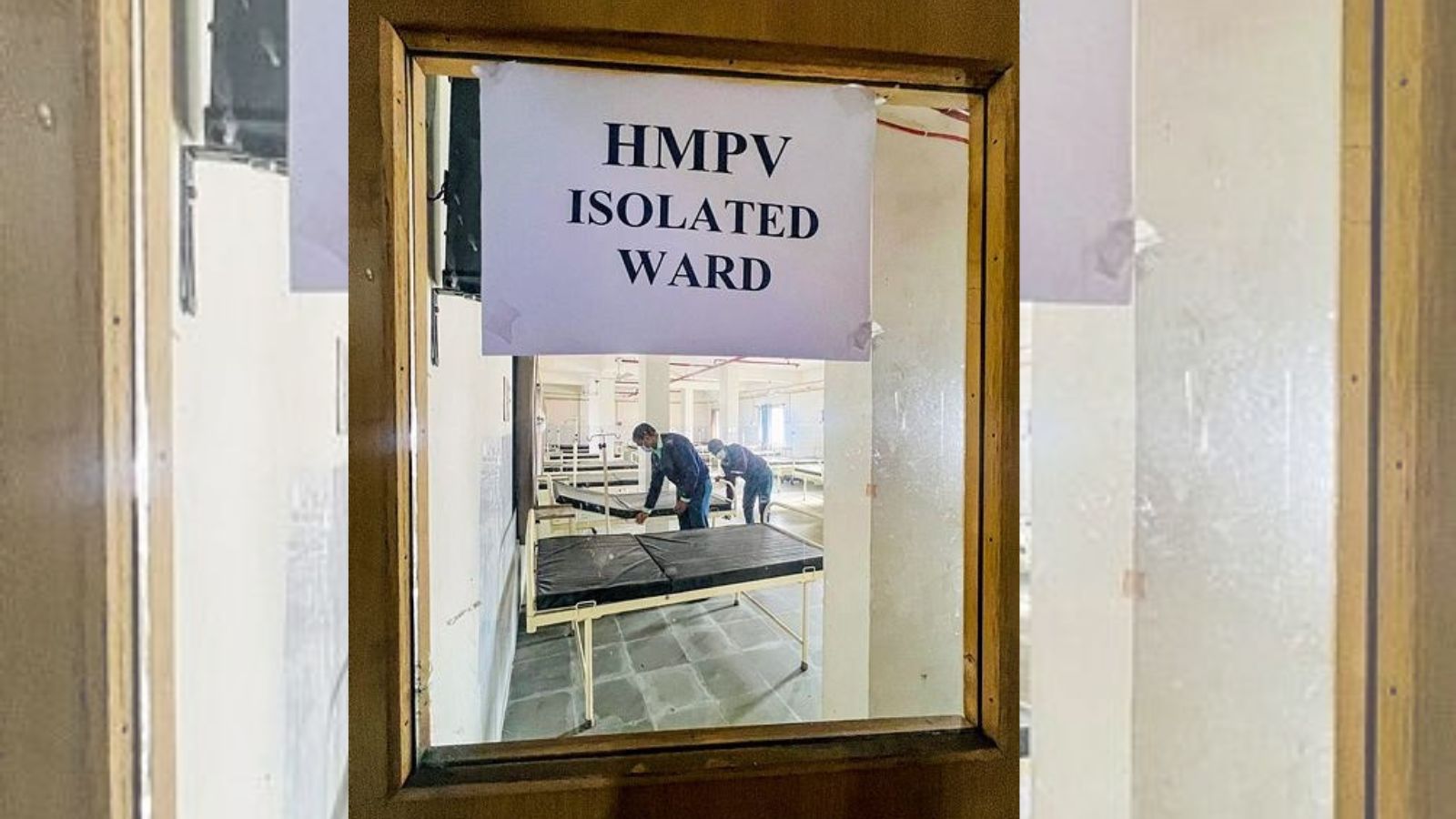 Human Metapneumovirus