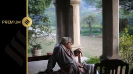 irfan habib