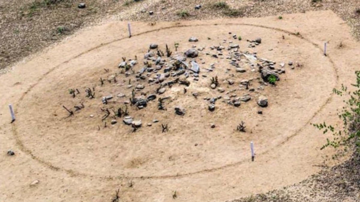 iron age in tamil nadu