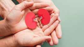 Discover how ageing impacts kidney cancer risk. Learn about symptoms, prevention, and lifestyle tips to reduce risks in your 40s. Stay informed, stay healthy!