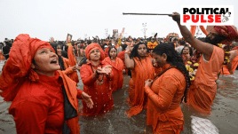 RSS, Mahakumbh