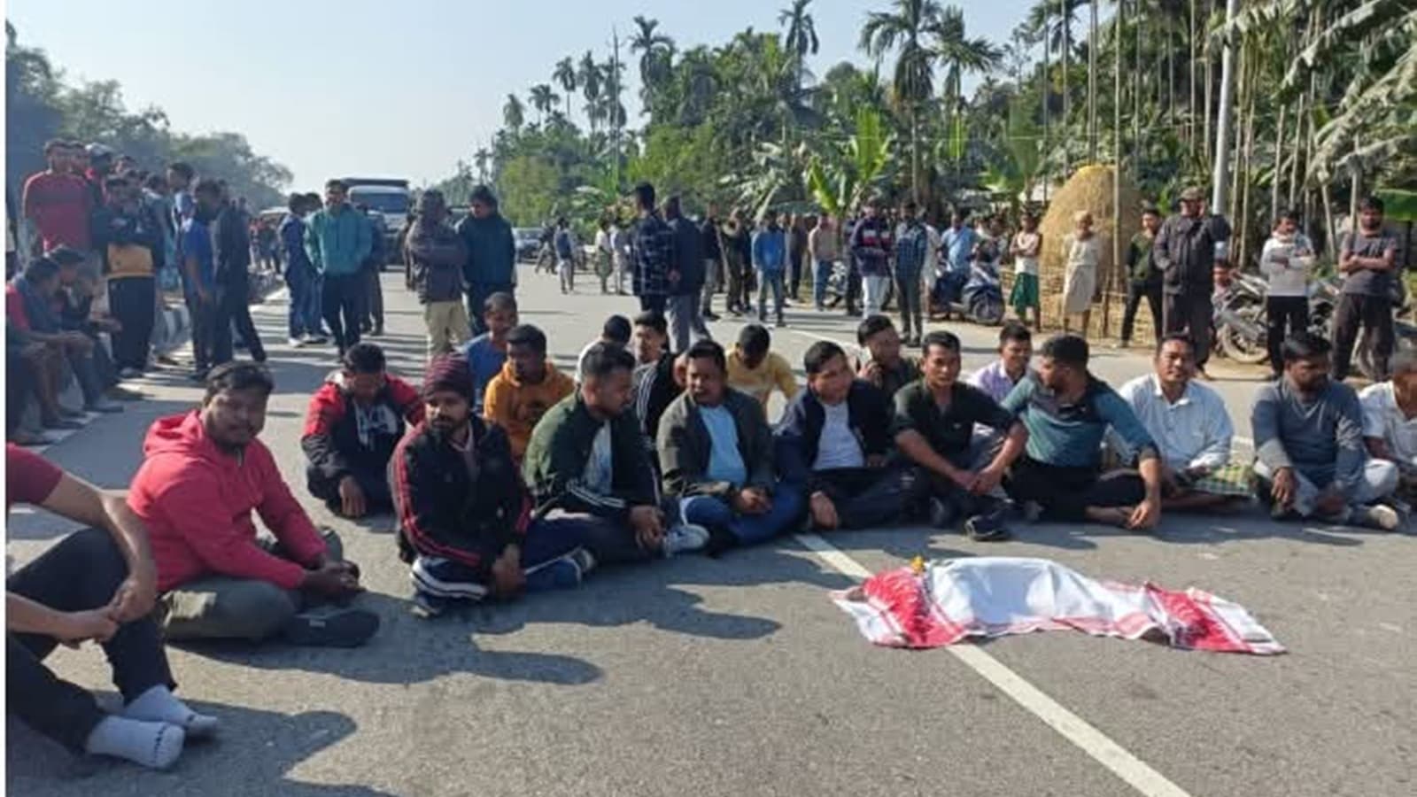 In Assam, a highway death puts spotlight on an uncommon victim – a golden langur