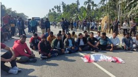 golden langur, assam news, Bongaigaon,