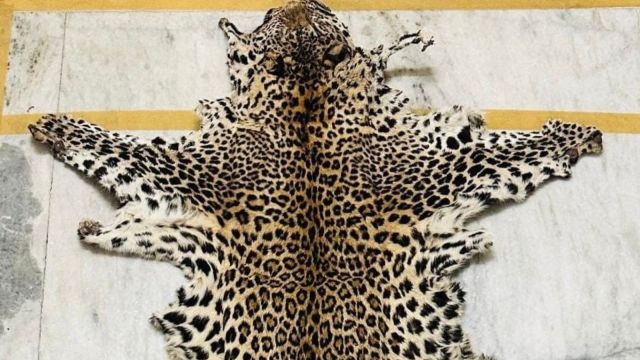 leopard skin