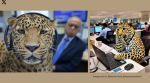Leopard spotted at Infosys Mysuru sparks memes